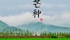 芒种是什么意思