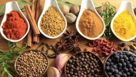 2020秋分是什么意思