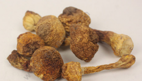 鹤岗有什么特产吃的