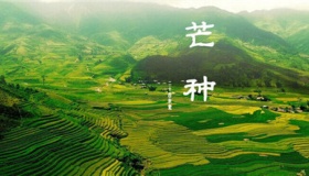 芒种有关的诗词