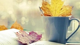 2020年农历七月哪一天是黄道吉日