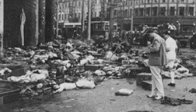 淞沪会战为什么死那么多人