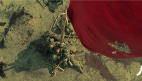 《八佰》累计票房突破10亿元