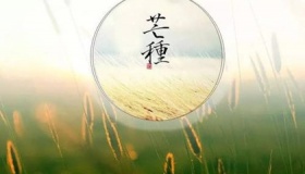 二十四节气芒种的含义是什么
