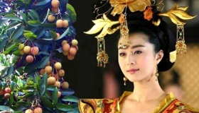 杨贵妃最爱吃的荔枝产自哪里