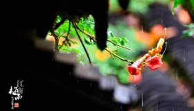 浙江2020年入梅和出梅时间