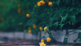 2020年白露过后天气还热吗