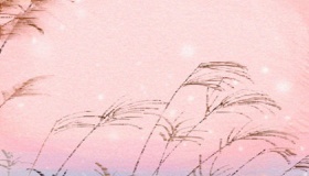 中国最大的城市叫什么