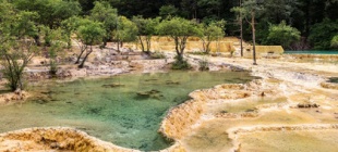 2017年8月8日：8·8九寨沟地震