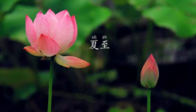 夏至下雨对于农作物的影响