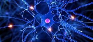 1843年7月9日：杰出神经组织学家戈尔季诞辰