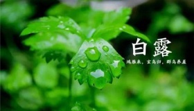 白露节气养生吃什么