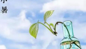 2020年小暑结婚好吗