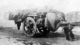 历史上三次鼠疫大流行共死了多少人