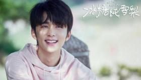 《穿盔甲的少女》抄袭《冰糖炖雪梨》