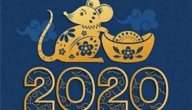 2020年是366天还是384天