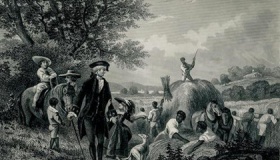 华盛顿和黑奴的故事