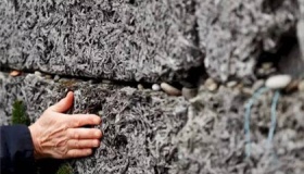 二战时犹太人为什么被大量杀害