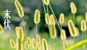 2020年末伏还热吗