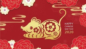 2020年双闰年是什么意思2020年一共多少天