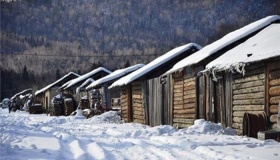 东北7年超164万人外流