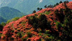 湖北A级景区有哪些