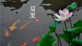 夏至是什么意思