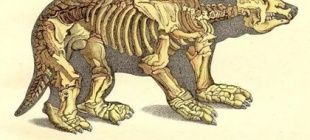 1832年5月13日：法国著名动物学家居维叶逝世