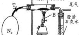 1786年5月21日：瑞典化学家卡尔·威廉·舍勒逝世