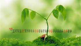 2020年6月有多少天