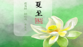 2020有关夏至日的谚语农谚大全