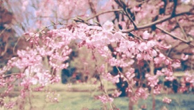 2020年四月是什么月 闰年平年判断方法