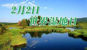 2020年国际湿地日主题
