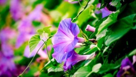 闰四月有什么讲究