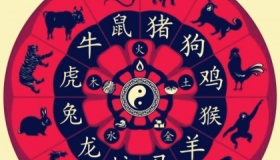 哪四大属相是帝王属相