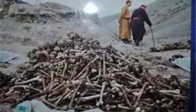 苏联大清洗运动死了多少人