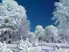 雾凇的形成原因