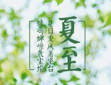夏至节气养生