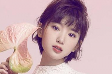 毛晓彤个人资料简介