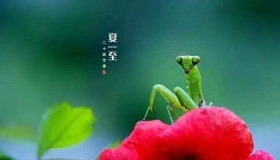 2020年夏天会不会很热