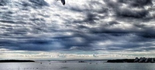 1994年9月28日：“爱沙尼亚”号客轮在芬兰近海沉没