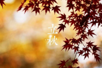 立秋节气养生知识