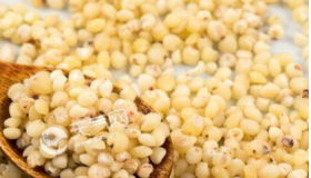 2020入梅后吃哪些食物适合