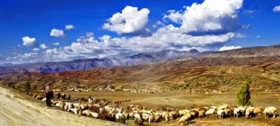 1992年8月11日：国际考察队证实存在一条游牧丝绸之路