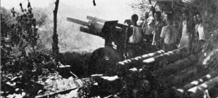 1944年8月5日：中国军队攻占密支那