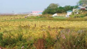 朝鲜人为什么不能出国