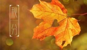 秋分节气的诗词