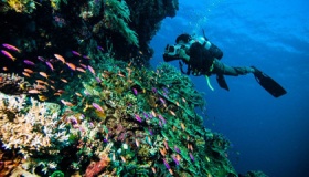 印度和印度尼西亚是一个国家吗