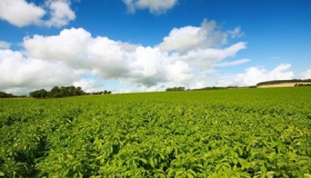 闰四月会有什么影响