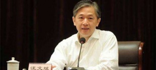 外交部新任发言人汪文斌亮相